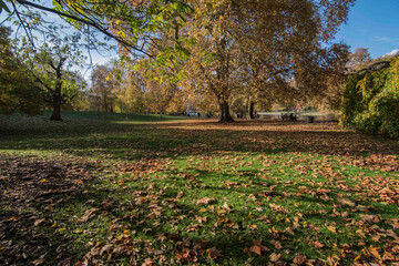 View of the beautiful parks in London