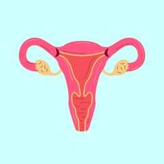 Female reproductive system flat design. Medical poster of women internal organs, contemporary anatomy concept. Trendy vector illustration