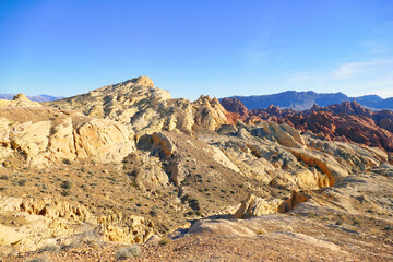 Naklejka premium Yellow, red and brown rock formations in a wild part of Valley of Fire State Park, Nevada