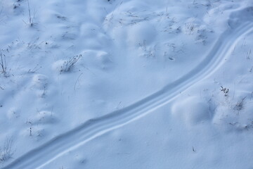 Plants sticking out from under the snow, bushes top view in snowdrifts