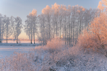 Landscape winter frosty morning with hoarfrost on trees and bushes with beautiful branches and a church temple through the trees