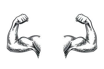 Muscular hands arms of strong man bodybuilder sketch engraving vector illustration. Bodybuilder muscle flex arm. Strong macho biceps.