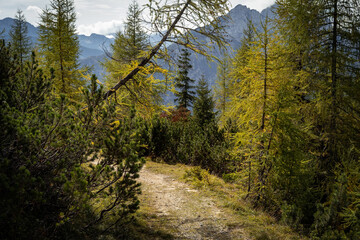 Fototapeta na wymiar Forest path, hiking autumn rock mountains in Julijske Alpe Alpi Giulie, Julian Alps, Slovenia Slovenija