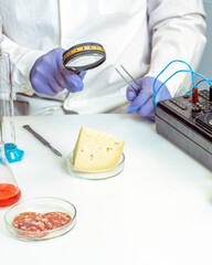 Food safety inspector working in laboratory. Healthy food concept.