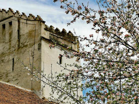 Medieval tower of the fortified church in Codlea, Transylvania in spring