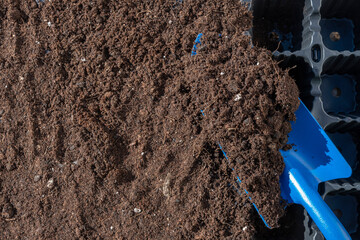 Sembrar semillas de alcarchofa en bandeja de cultivo