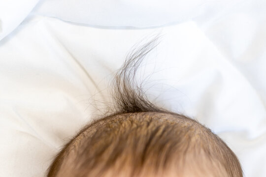 Close Up View Of Forehead And Head Of A Baby Boy With Funny Thread Of Hair That's Is Up. Toddler On White Blanket. No Face Detected. Space For Text. Funny Hairstyle.