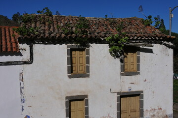 Fototapeta na wymiar Bewachsenes Dach auf Gran Canaria