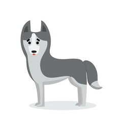 Vector illustration of cute and funny cartoon little dog-puppy huskey
