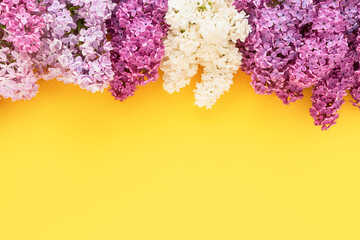 Lilac bunch on a light yellow background. Beautiful Lilac flower border. Spring concept