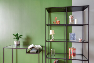 Metal shelf bookcase and accessories white green wall room decoration home interior © svetlana