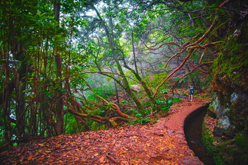 landscape from madeira island portugal 