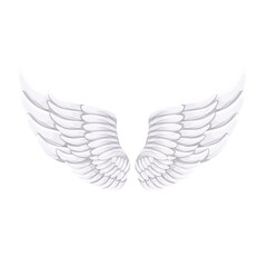 White bird or angel wings, vector illustration.