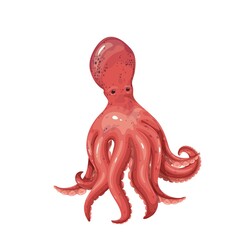 Octopus cartoon vector illustration. Sea or ocean octopus with twisted tentacles.