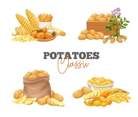 Potato products banners. Chips, pancakes, french fries, whole and cut root potatoes in cartoon style. Vector illustration of harvest vegetables.