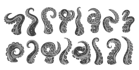 Fototapeta Octopus tentacles glyph icons. Monochrome cut limbs of the sea monster kraken. Set of sea octopus twisted tentacles with suckers vector illustration. obraz