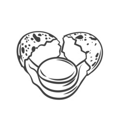 Broken the falling quail egg outline drawn vector illustration.