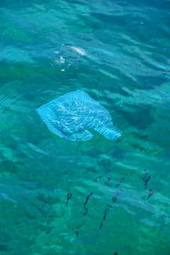Plastic bag floating in clear water