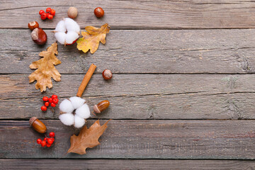 Beautiful autumn decor and cotton flowers on wooden background