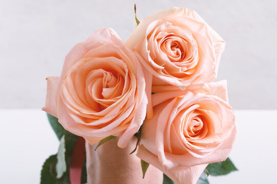 Man's hand holding a bouquet of beautiful pink roses on a light background. Valentine's Day, mother's day, happy birthday concept. Romantic gift