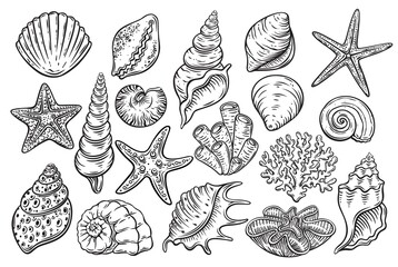Seashells engraved icons set. Hand drawn various mollusk seashells different forms, starfish, coral. Underwater flora, sea plants vector illustration. - obrazy, fototapety, plakaty