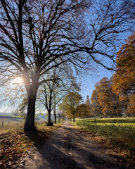 Herbsttag mit Sonne