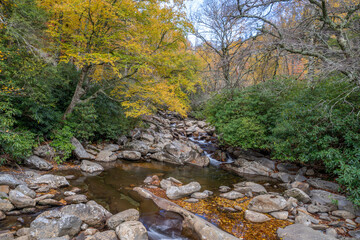 Great Smoky Mountains - Little Pigeon River