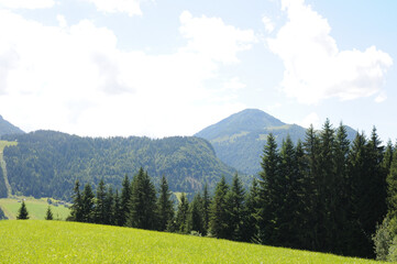 Obraz premium landscape with mountains