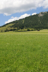 field and blue sky