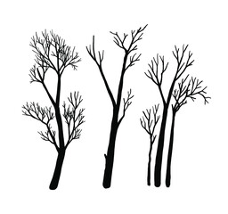 Naked tree silhouette. Hand drawn vector illustrations.	

