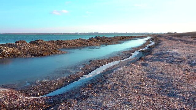 Storm emissions from shells of bivalve molluscs and algae, wetlands of Ukraine, Tiligul estuary