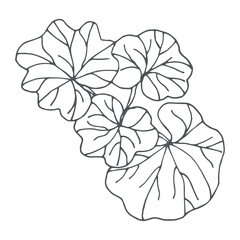 Hand drawn indoor geranium outline icon in doodle style. Vector liner illustration for print, web, mobile and infographics isolated on white background.  