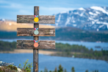 gold silver bronze emoji engraved on wooden signpost outdoors in nature during blue hour.