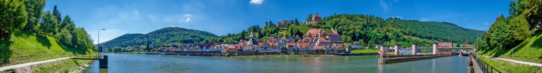 Hirschhorn am Neckar im Odenwald, Südhessen, Deutschland - obrazy, fototapety, plakaty