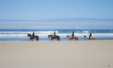 Horseback riding on the coast 