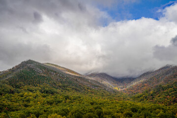 Great Smoky Mountains - Mt. LeConte Range