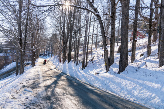 A winter photograph of a rural road in Vermont with people on it and a sunburst from behind a tree limb.