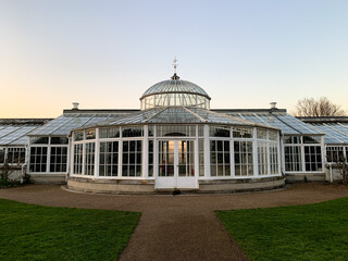 Fototapeta na wymiar Facade of Grade1 listed greenhouse housing historic camelia plants at Chiswick House and Gardens in West London. Twilight, sunset, wisteria trees along the wall, green grass in front of building 