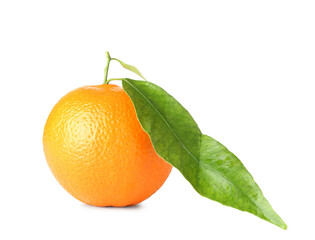 Whole orange on white background