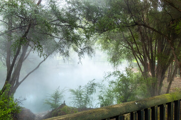 Geothermal ponds are all around the Goverment Gardens, Rotarua, New Zealand