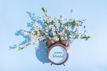 Spring forward text on alarm clock and blossom branches on a blue background. Flat lay, top view...