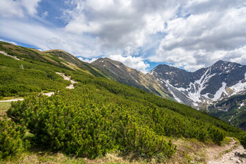 Naklejka premium Western Tatras in Slovakia with Rohace peaks in the background.