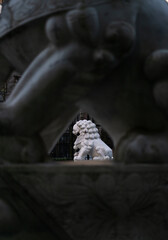 statue of a lion