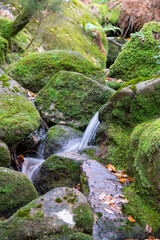 Water stream on the wilderness. Moutain hiking by winter. 