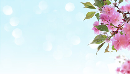 Obraz na płótnie Canvas Spring cherry blossoms against blue sky with bokeh. Spring background with copy space