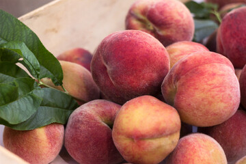 Lots of ripe peaches in a wooden box. Fruit background, healthy food