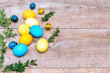 Fototapeta na wymiar Colorful painted easter chicken, quail eggs with green plant branches lie on wooden rustic background, spring, easter concept, top view, banner, copy space