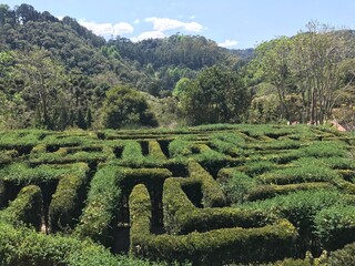 labyrinth in the park