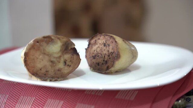 Two pieces of cooked potatoes on a plate on a table