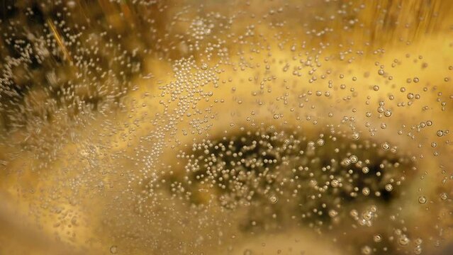 Bubbling Golden Champagne Extreme Closeup